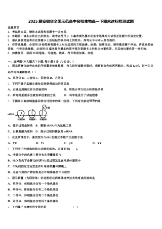 2025届安徽省全国示范高中名校生物高一下期末达标检测试题含解析