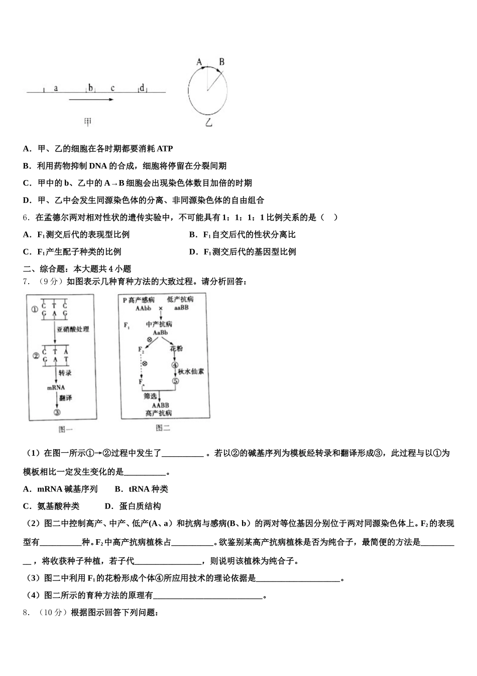 2025届安徽省太和县民族中学高一下生物期末调研模拟试题含解析_第2页