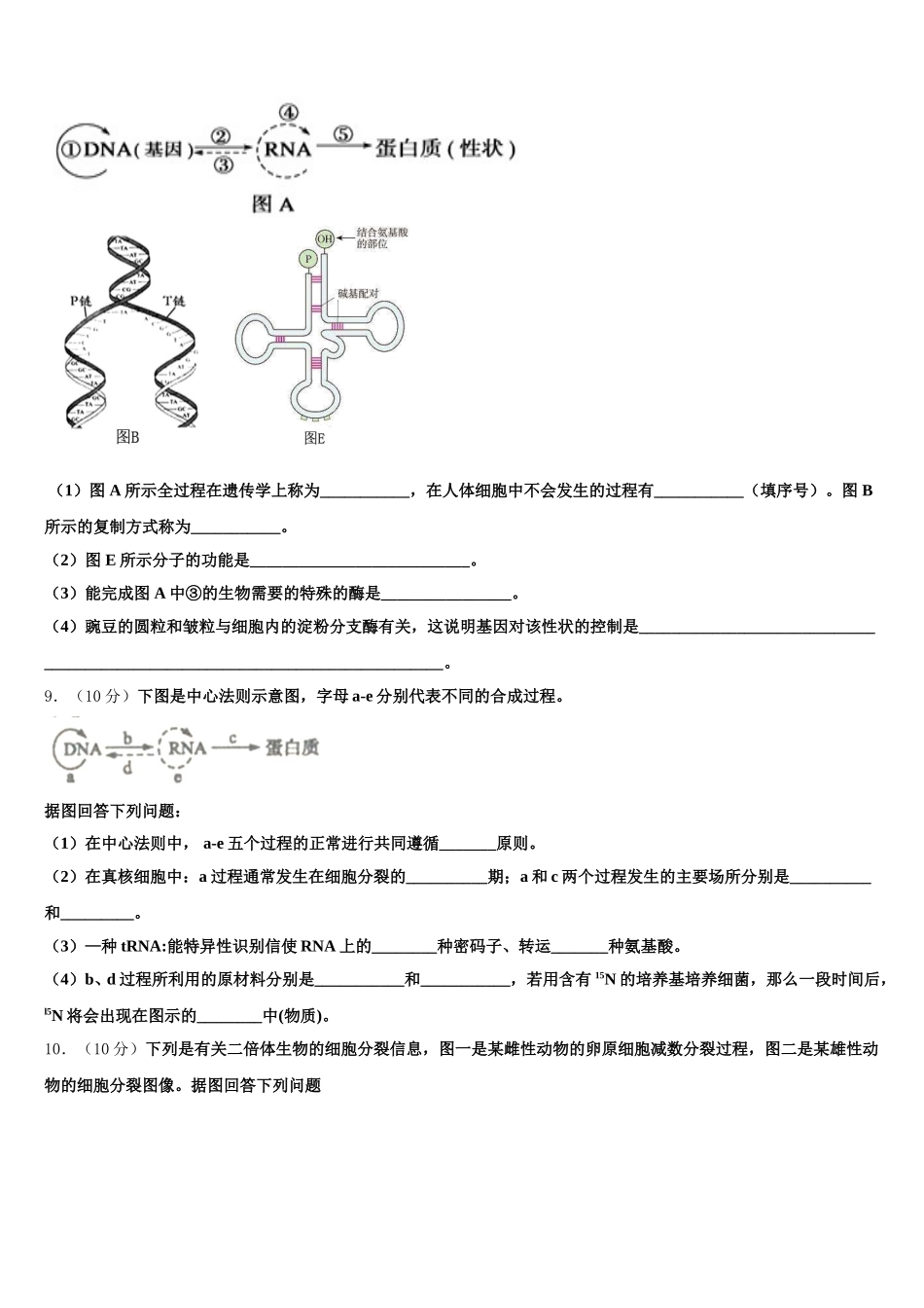 2025届安徽省太和县民族中学高一下生物期末调研模拟试题含解析_第3页