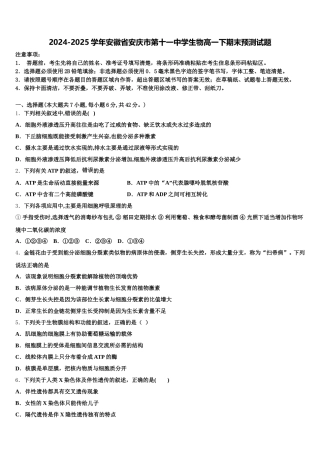 2024-2025学年安徽省安庆市第十一中学生物高一下期末预测试题含解析