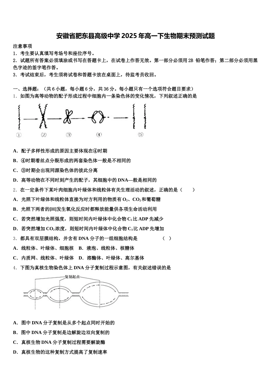 安徽省肥东县高级中学2025年高一下生物期末预测试题含解析_第1页