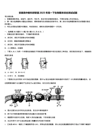 安徽高中教科研联盟2025年高一下生物期末综合测试试题含解析