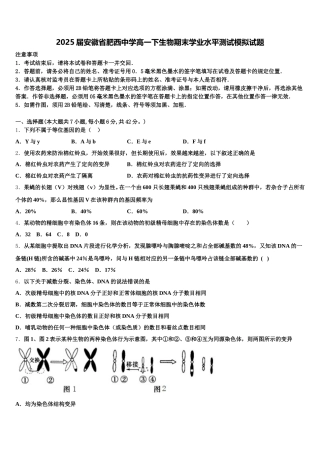 2025届安徽省肥西中学高一下生物期末学业水平测试模拟试题含解析