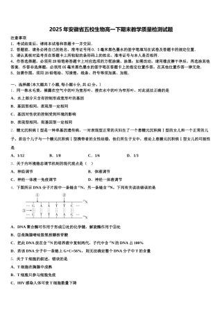 2025年安徽省五校生物高一下期末教学质量检测试题含解析