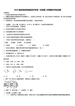 2025届安徽省舒城桃溪中学高一生物第二学期期末考试试题含解析