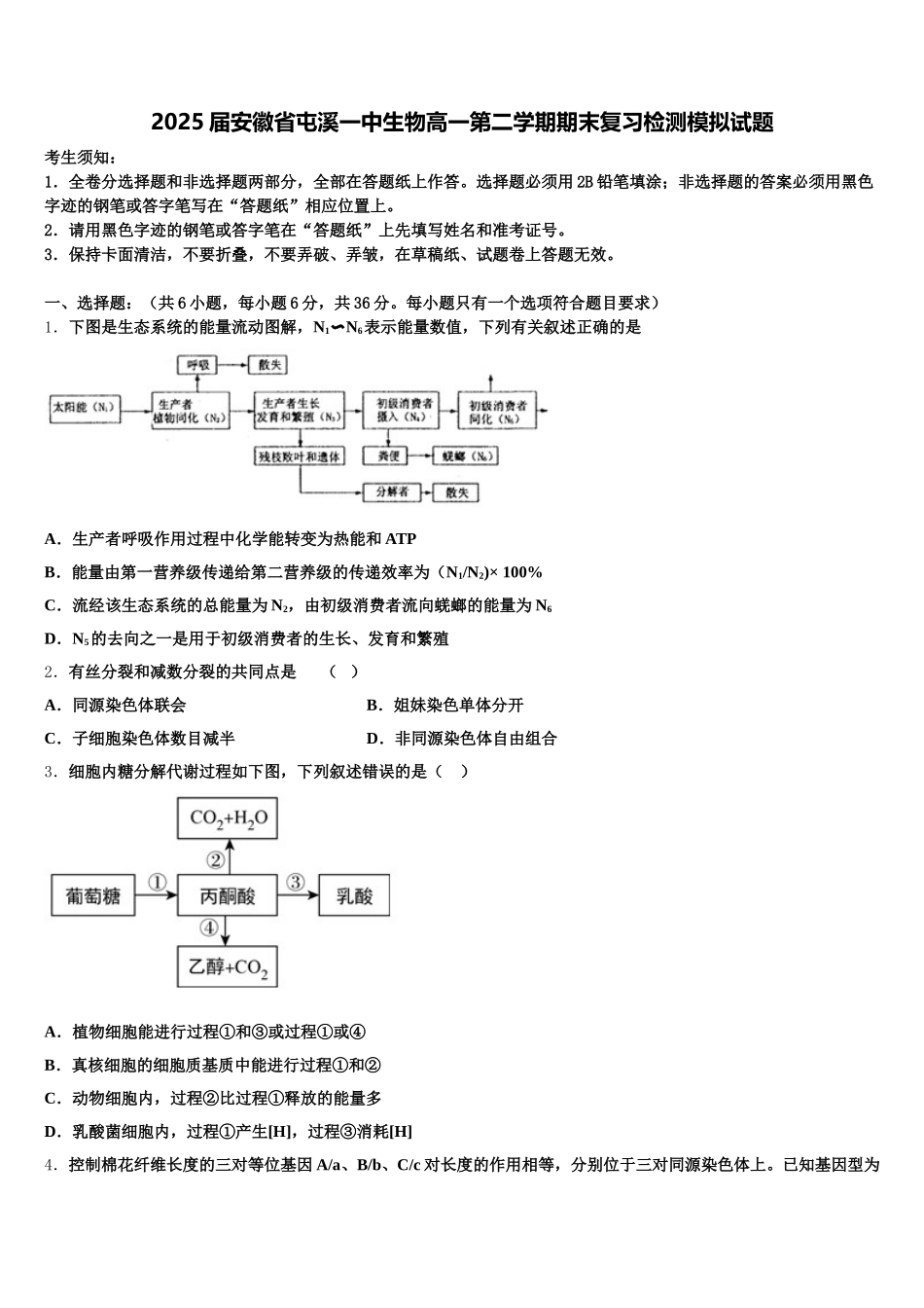 2025届安徽省屯溪一中生物高一第二学期期末复习检测模拟试题含解析_第1页