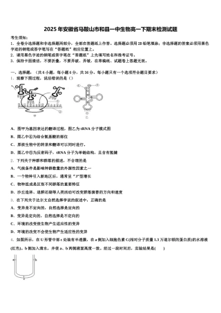 2025年安徽省马鞍山市和县一中生物高一下期末检测试题含解析