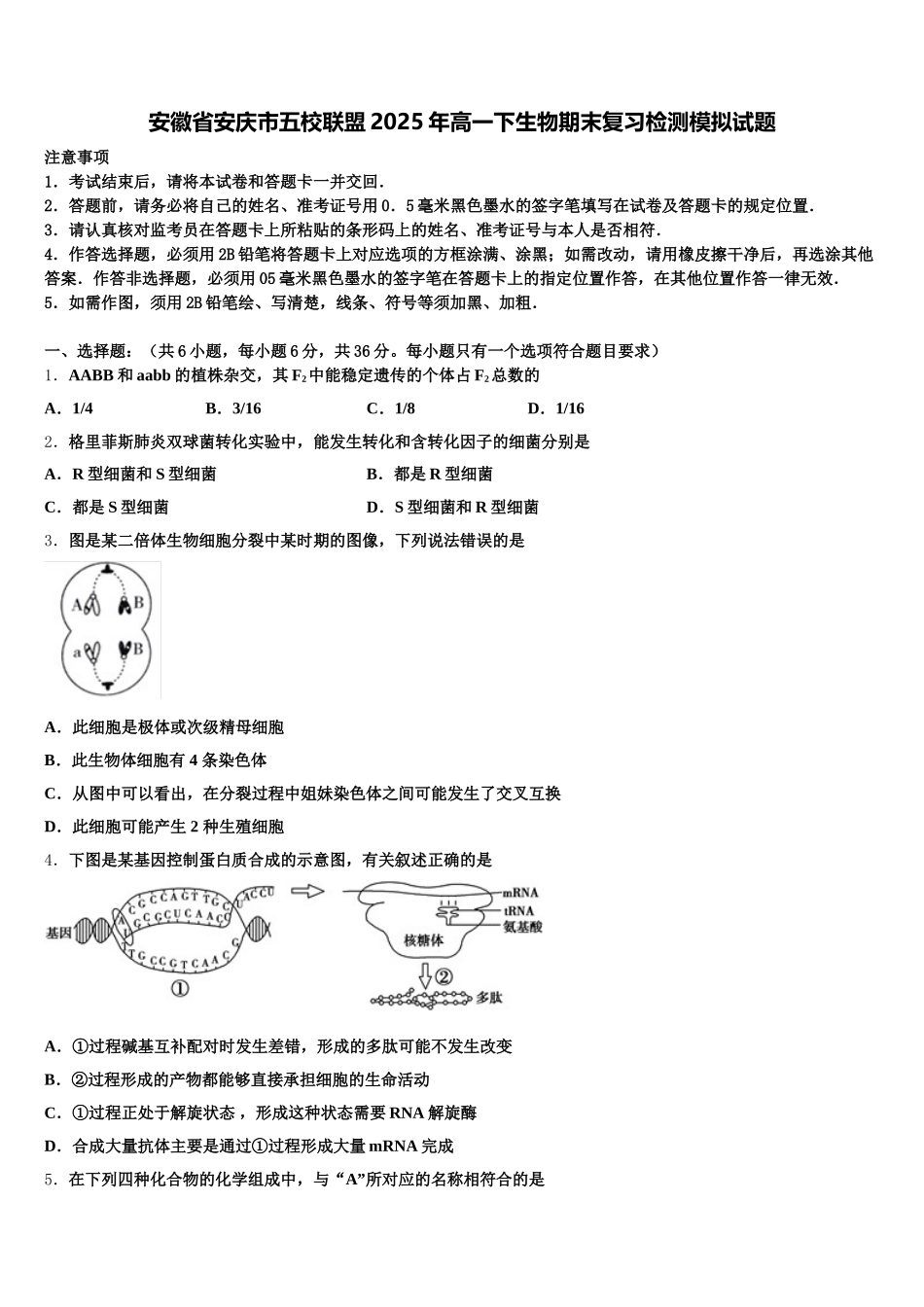 安徽省安庆市五校联盟2025年高一下生物期末复习检测模拟试题含解析_第1页