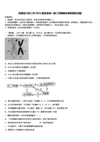 安徽省六安二中2025届生物高一第二学期期末调研模拟试题含解析