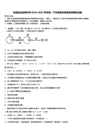 安徽定远启明中学2024-2025学年高一下生物期末质量检测模拟试题含解析