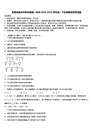 安徽省毫州市利辛县第一中学2024-2025学年高一下生物期末统考试题含解析