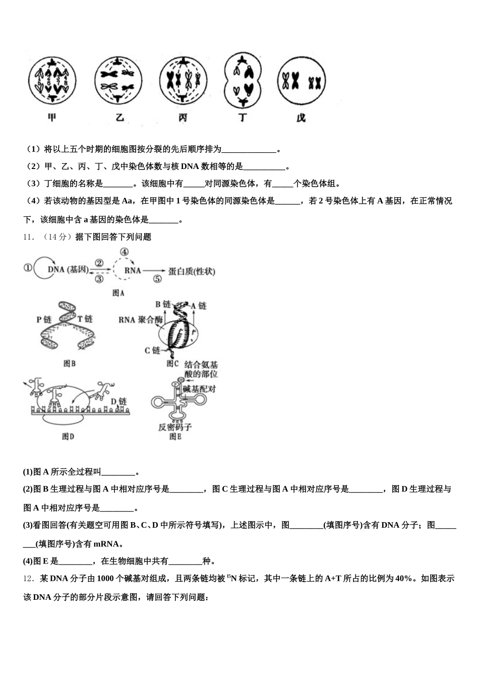 2025年安徽省芜湖市高一下生物期末调研试题含解析_第3页