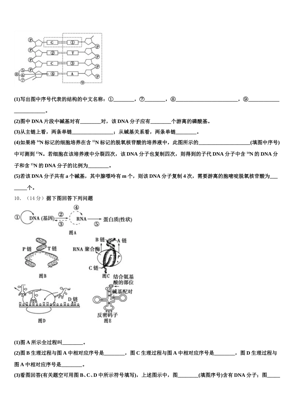 2025年安徽省安庆市市示范中学高一生物第二学期期末复习检测试题含解析_第3页
