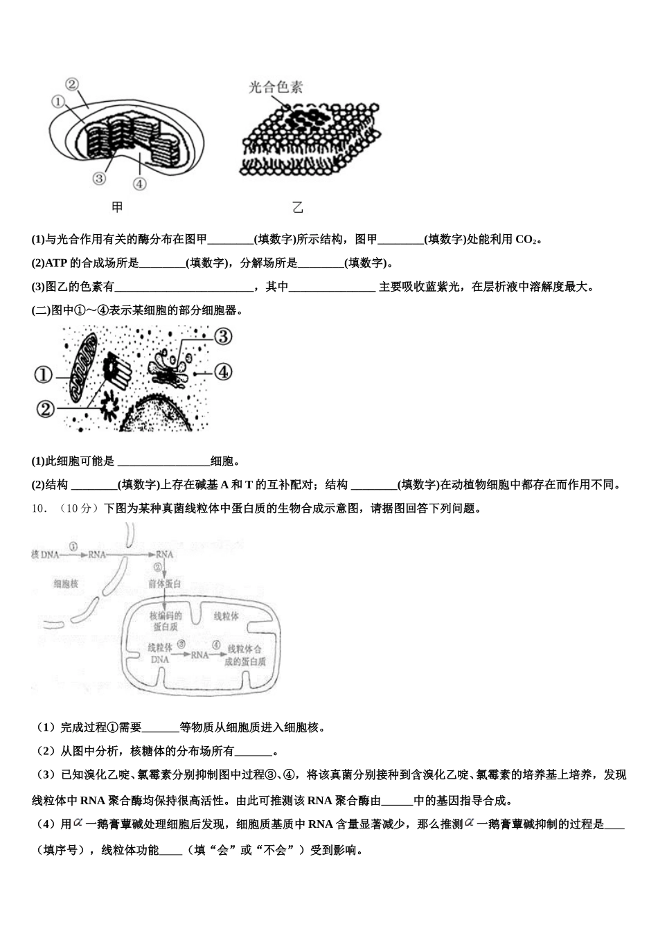 安徽省长丰县朱巷中学2024-2025学年生物高一第二学期期末学业水平测试模拟试题含解析_第3页
