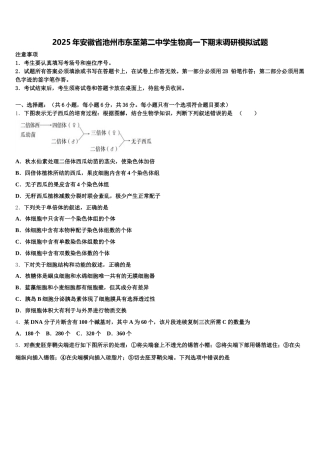2025年安徽省池州市东至第二中学生物高一下期末调研模拟试题含解析