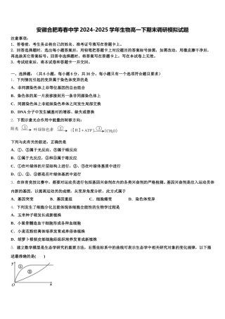 安徽合肥寿春中学2024-2025学年生物高一下期末调研模拟试题含解析