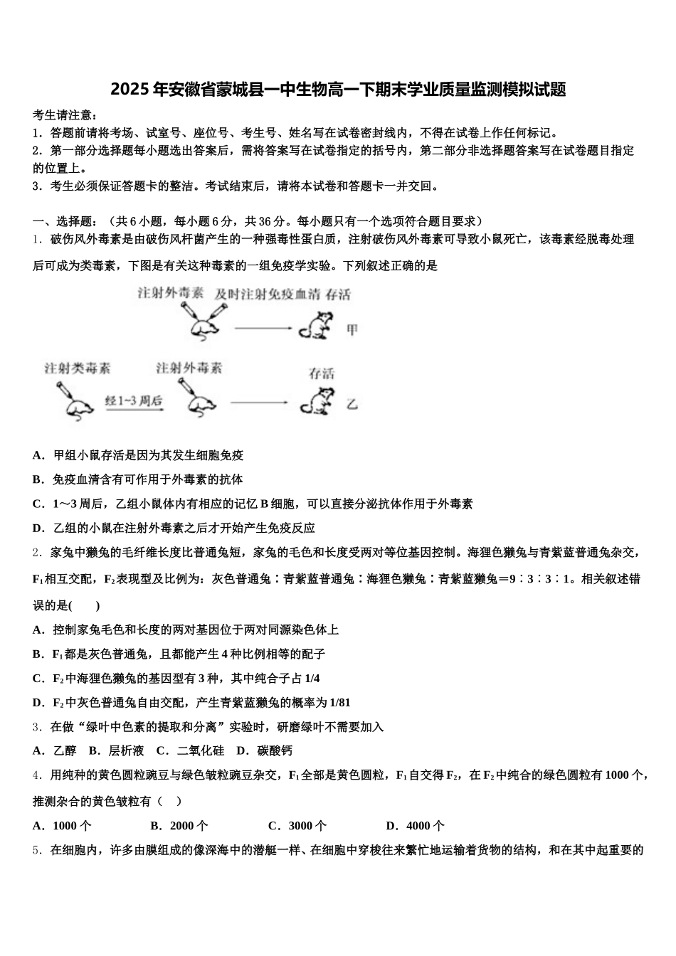 2025年安徽省蒙城县一中生物高一下期末学业质量监测模拟试题含解析_第1页
