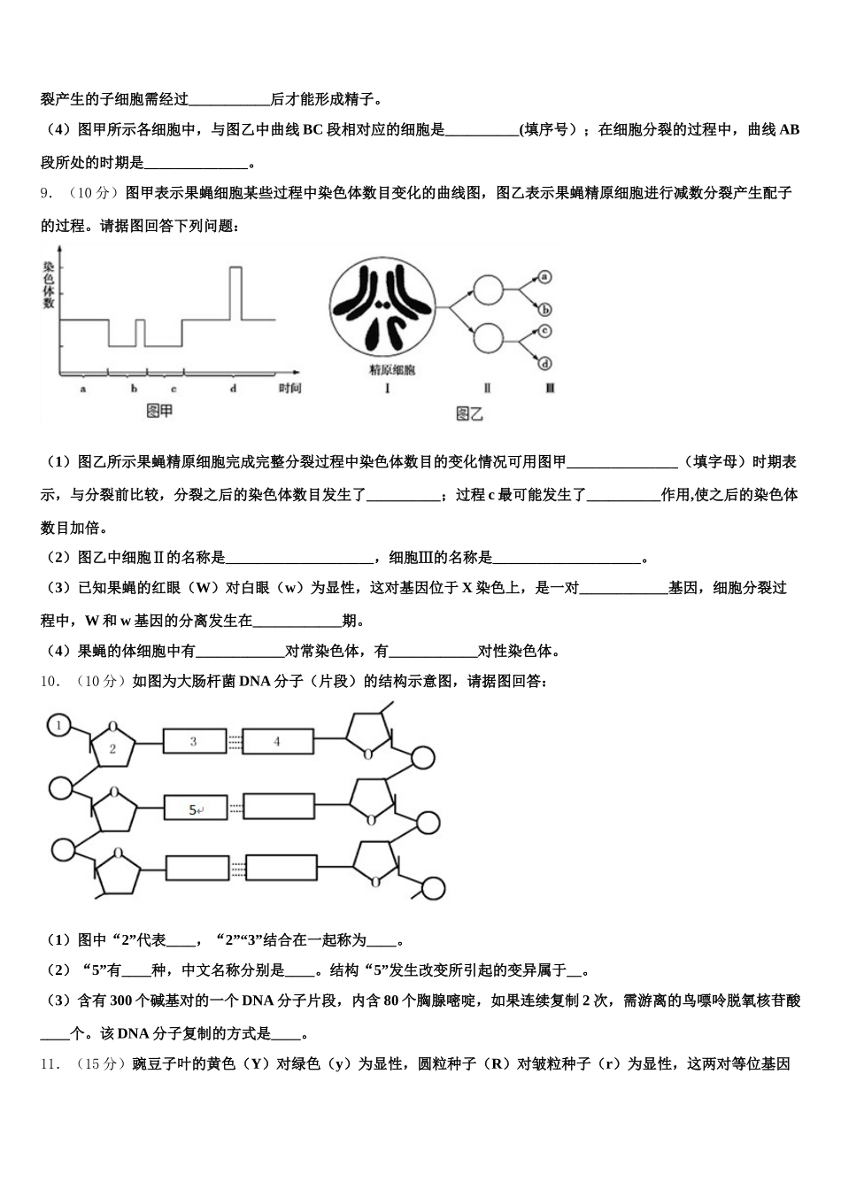 2025年安徽省蒙城县一中生物高一下期末学业质量监测模拟试题含解析_第3页