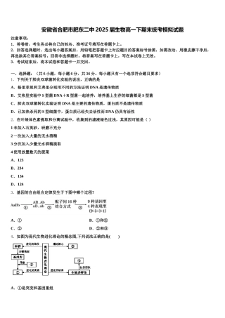 安徽省合肥市肥东二中2025届生物高一下期末统考模拟试题含解析