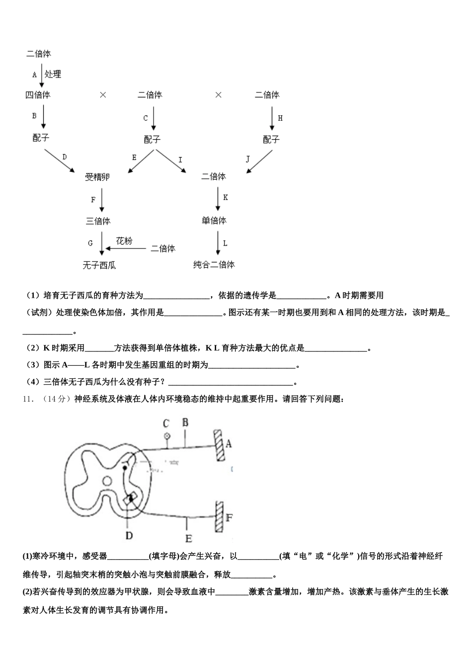 2025届安徽省长丰县第二中学高一生物第二学期期末考试模拟试题含解析_第3页
