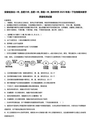安徽省淮北一中、合肥六中、合肥一中、阜阳一中、滁州中学2025年高一下生物期末教学质量检测试题含解析