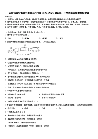 安徽省六安市第二中学河西校区2024-2025学年高一下生物期末统考模拟试题含解析