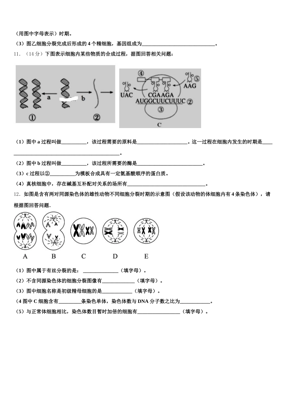 安徽省肥东圣泉中学2025年生物高一第二学期期末调研试题含解析_第3页