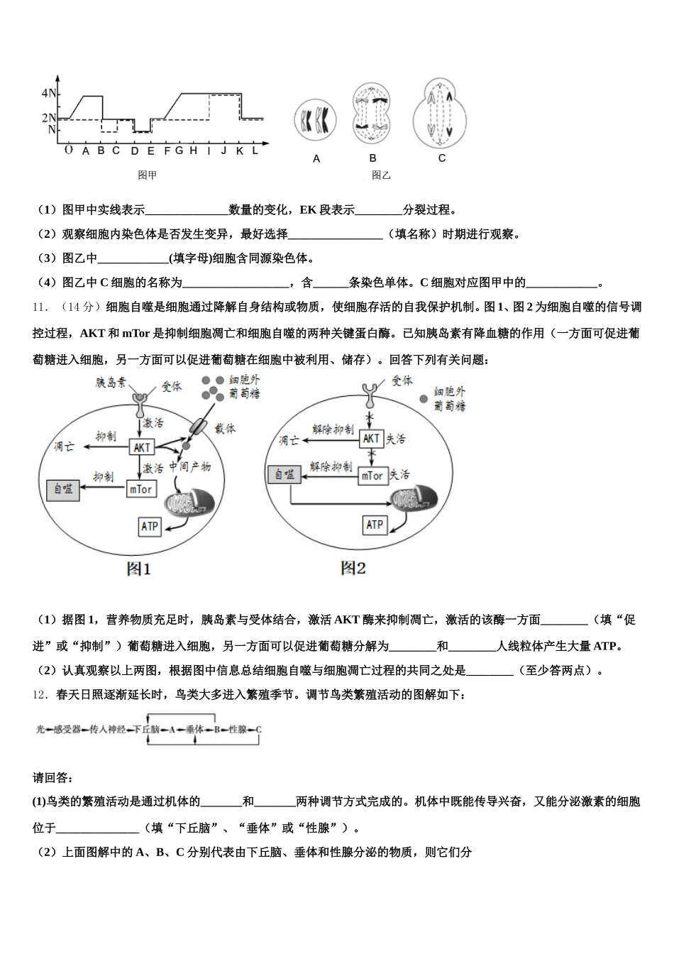 2025年安徽省干汊河中学高一下生物期末考试模拟试题含解析_第3页