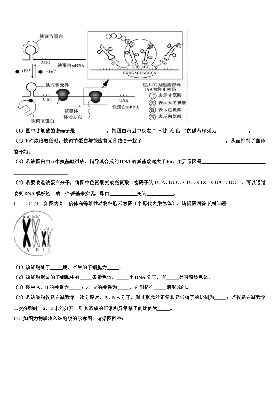 安徽省太和一中2025年高一生物第二学期期末复习检测模拟试题含解析_第3页