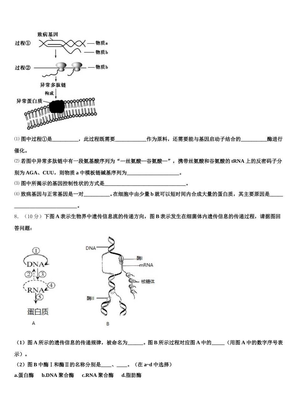 2025届天一大联盟生物高一下期末统考试题含解析_第3页