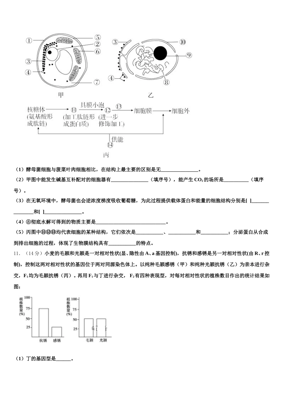 安徽省安庆第二中学2025年生物高一下期末考试模拟试题含解析_第3页