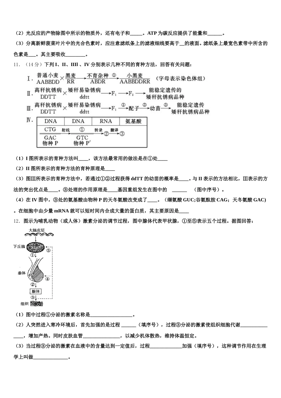 2024-2025学年安徽省阜阳四中、阜南二中、阜南实验中学三校高一生物第二学期期末质量检测模拟试题含解析_第3页