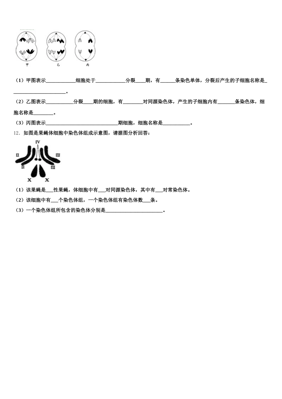 2025年安徽省阜阳市第一中学生物高一下期末联考试题含解析_第3页