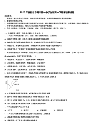 2025年安徽省阜阳市第一中学生物高一下期末联考试题含解析