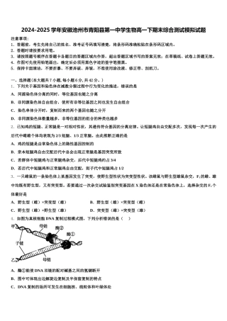2024-2025学年安徽池州市青阳县第一中学生物高一下期末综合测试模拟试题含解析