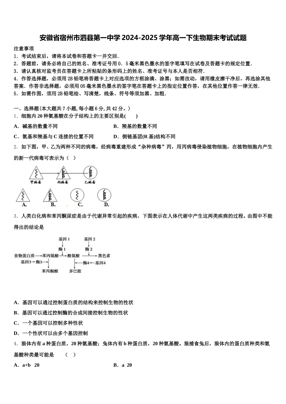 安徽省宿州市泗县第一中学2024-2025学年高一下生物期末考试试题含解析_第1页