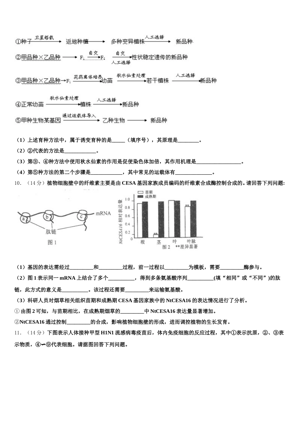 安徽省宿州市泗县第一中学2024-2025学年高一下生物期末考试试题含解析_第3页