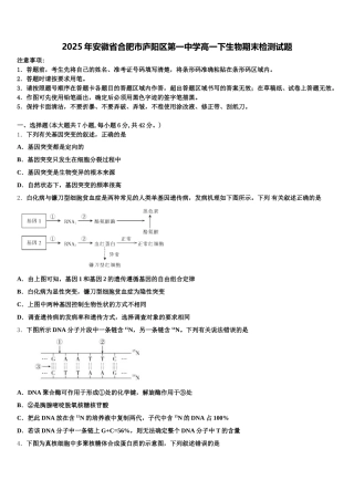 2025年安徽省合肥市庐阳区第一中学高一下生物期末检测试题含解析