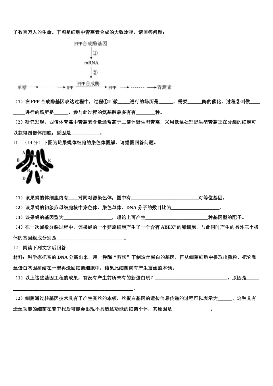 安徽省淮北市相山区淮北市第一中学2025届生物高一下期末检测试题含解析_第3页