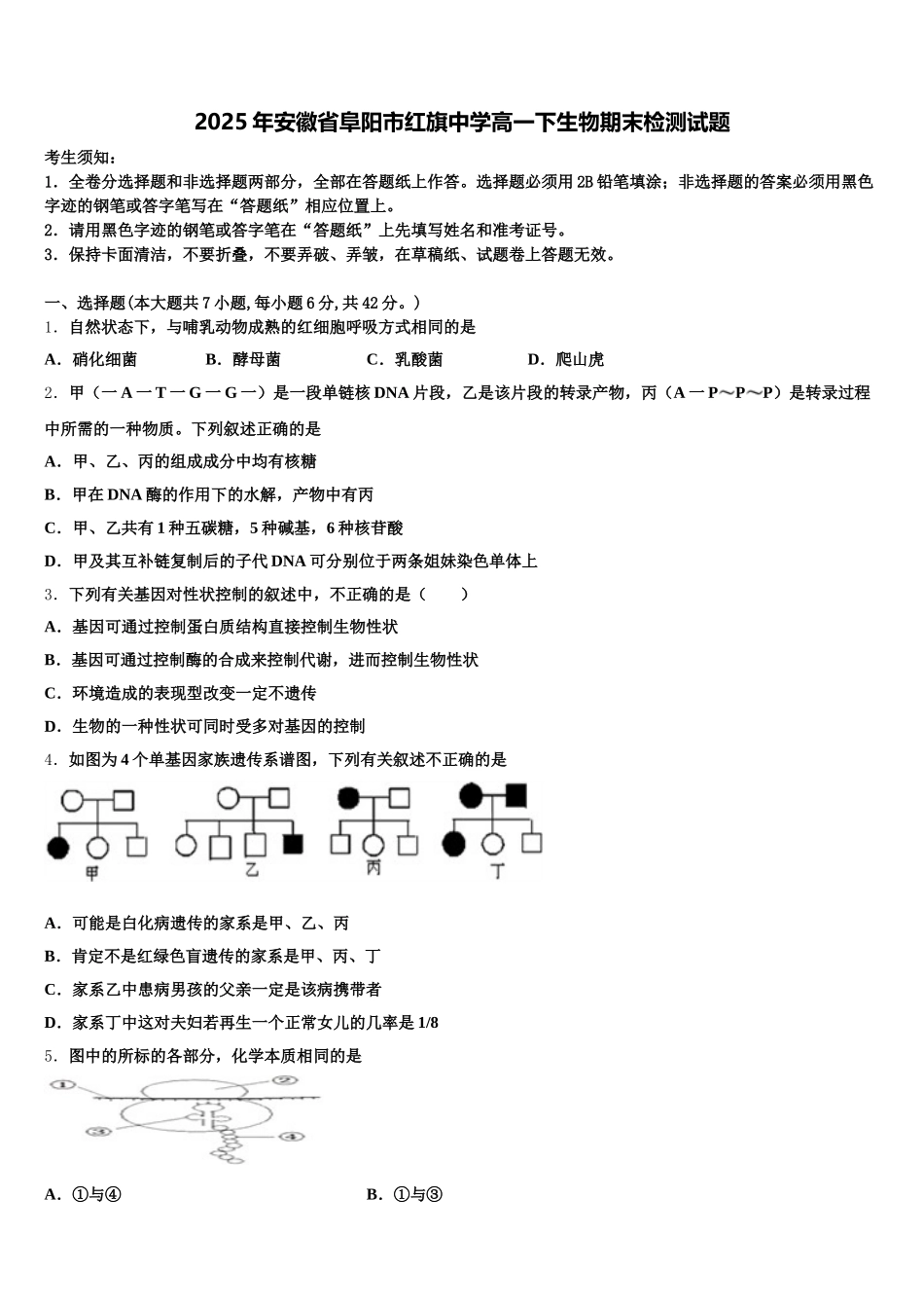 2025年安徽省阜阳市红旗中学高一下生物期末检测试题含解析_第1页