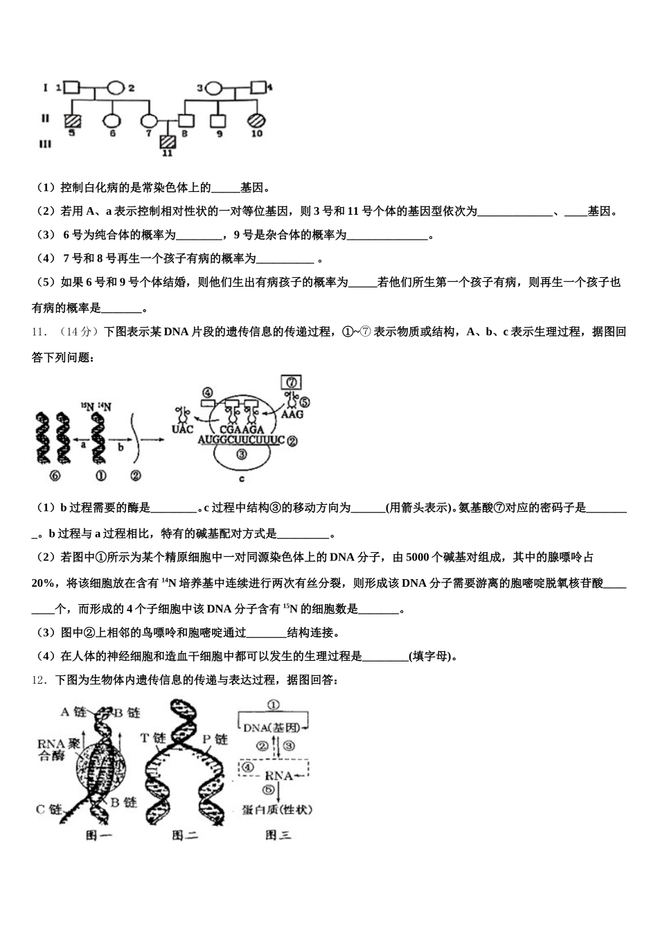 2025年安徽省阜阳市红旗中学高一下生物期末检测试题含解析_第3页
