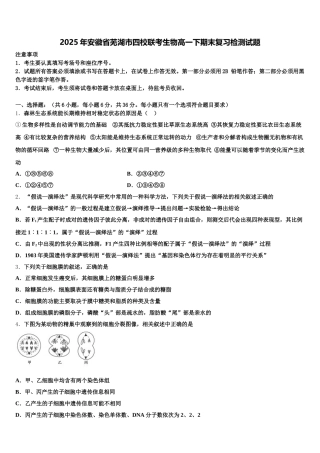 2025年安徽省芜湖市四校联考生物高一下期末复习检测试题含解析