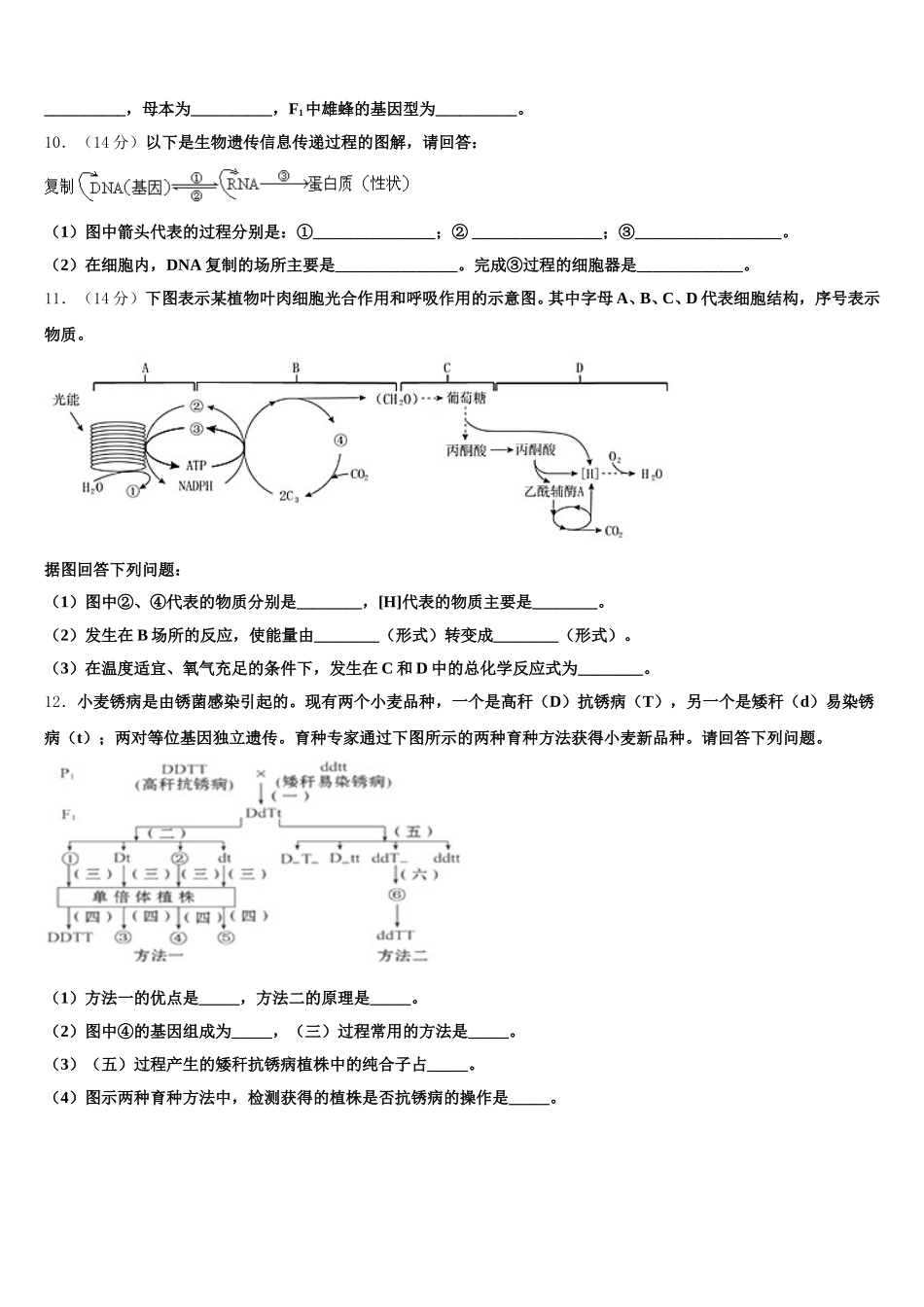 2025年安徽省太和一中生物高一第二学期期末综合测试试题含解析_第3页