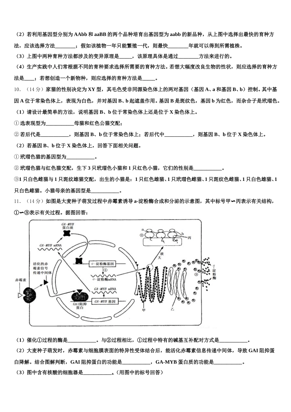 2025届安徽省来安中学高一下生物期末达标检测模拟试题含解析_第3页