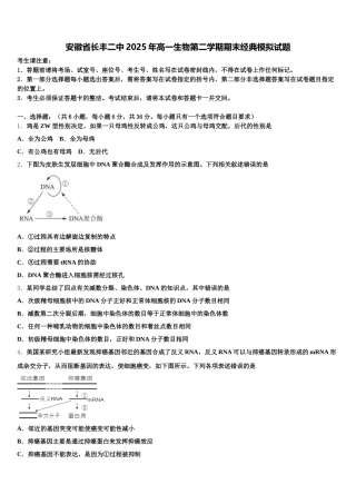 安徽省长丰二中2025年高一生物第二学期期末经典模拟试题含解析