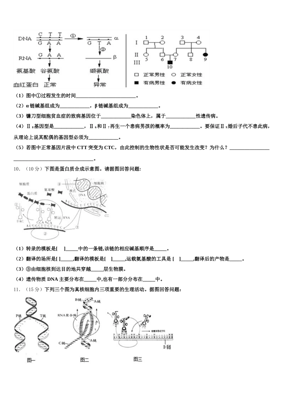 安徽池州市东至二中2025年高一下生物期末质量跟踪监视模拟试题含解析_第3页