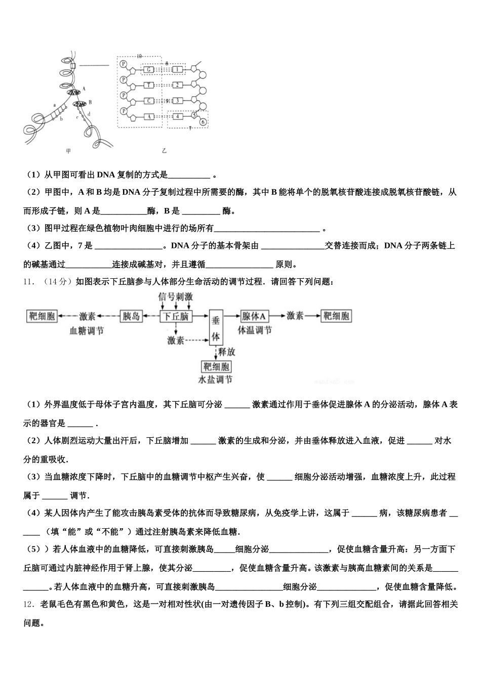 安徽名校2025届高一生物第二学期期末质量跟踪监视模拟试题含解析_第3页