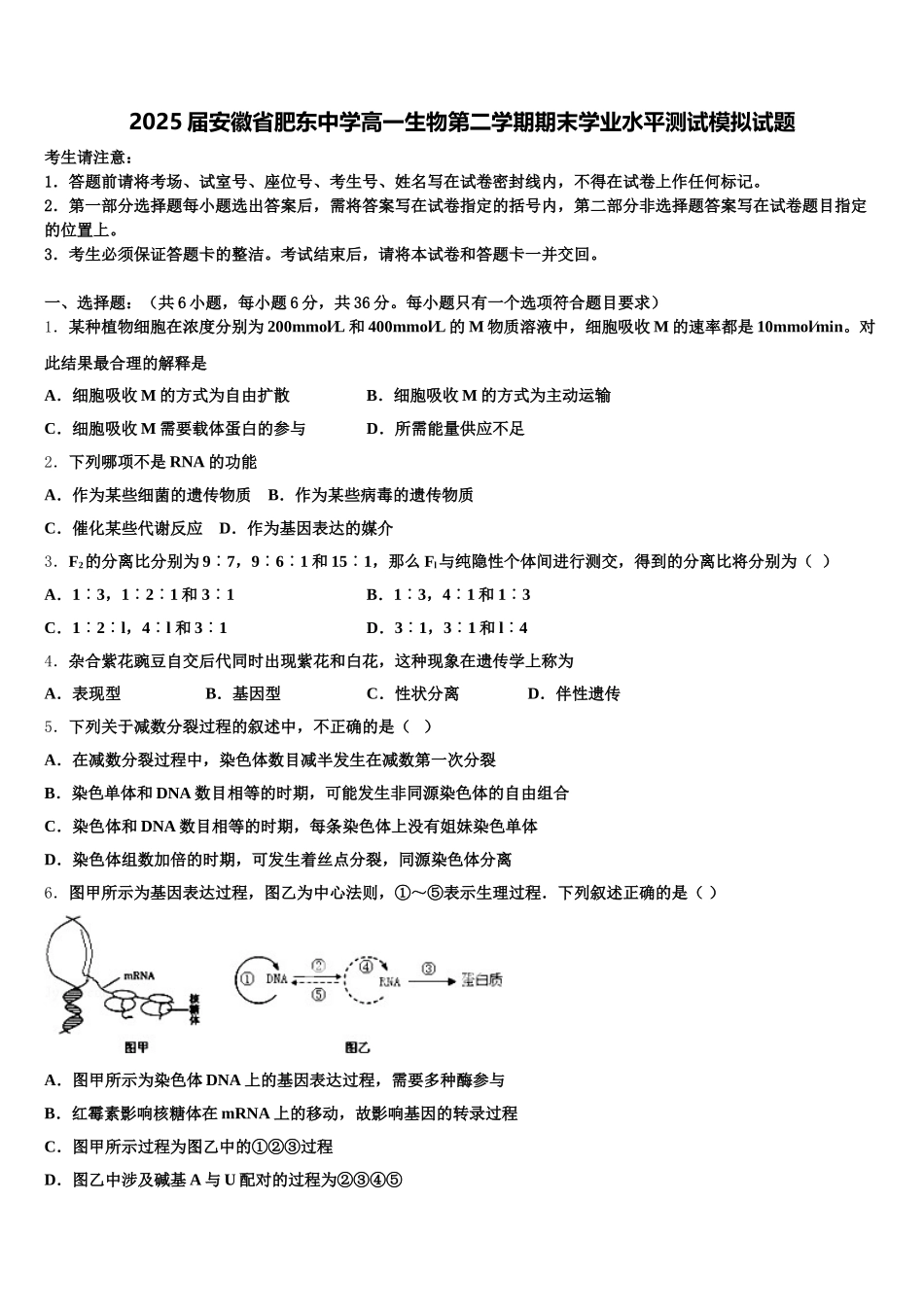 2025届安徽省肥东中学高一生物第二学期期末学业水平测试模拟试题含解析_第1页