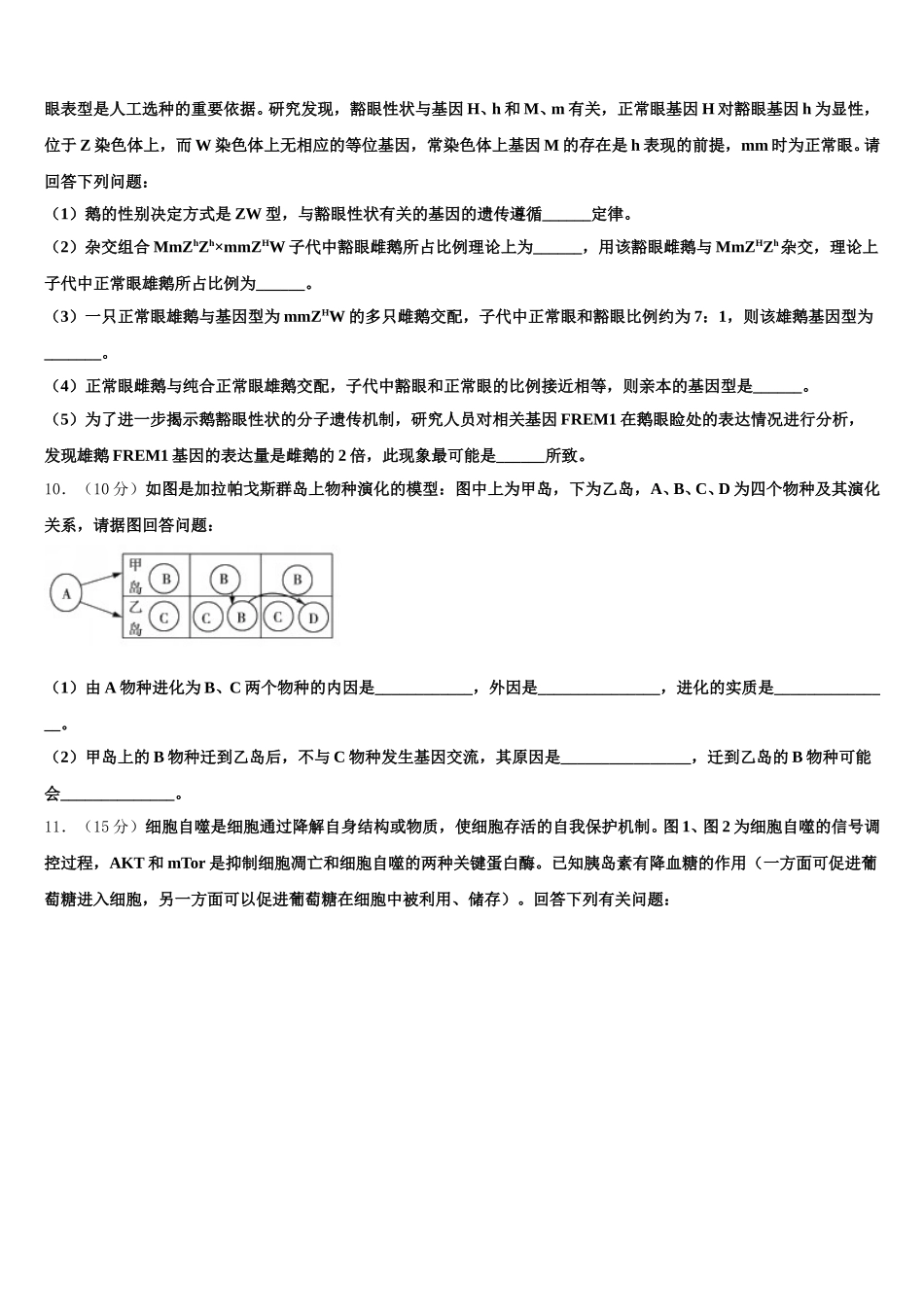 2025届安徽省肥东中学高一生物第二学期期末学业水平测试模拟试题含解析_第3页