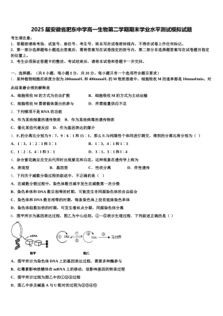 2025届安徽省肥东中学高一生物第二学期期末学业水平测试模拟试题含解析
